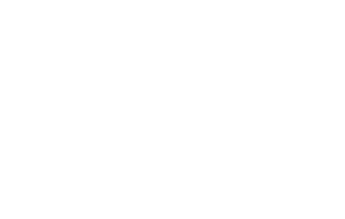 Phoenix_Trading-Company-Logo-Transparency