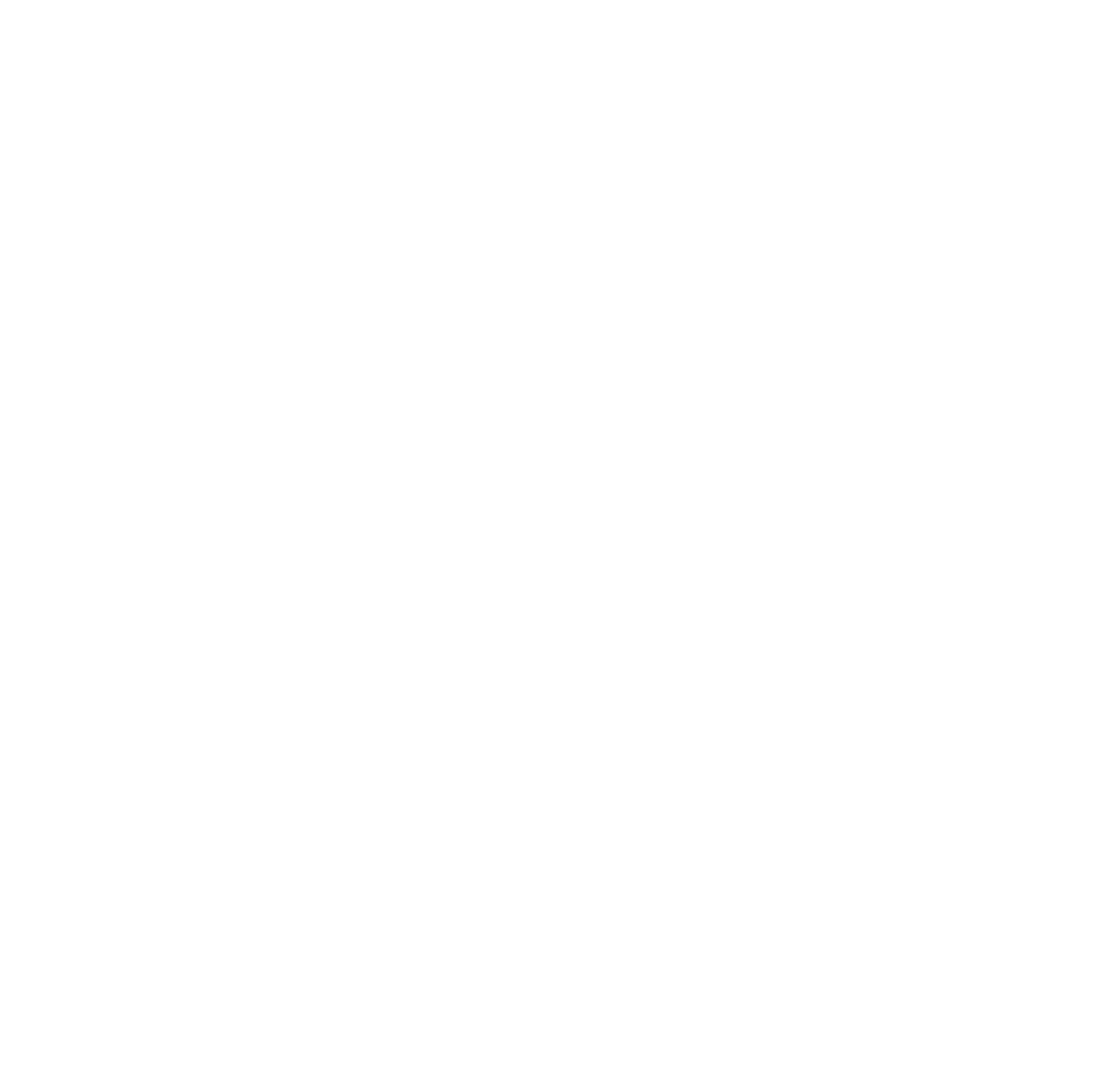 Synergee-fULL-Logo-WHITE