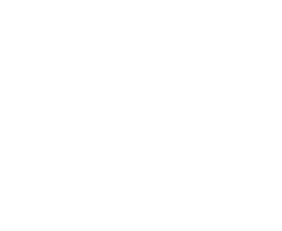 shein-marketplace_logo-reverse_550x450